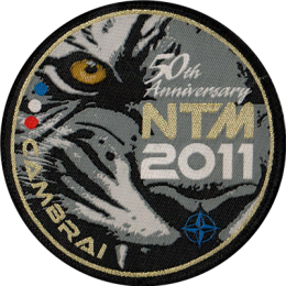 NATO Tiger Meet 2011 Logo